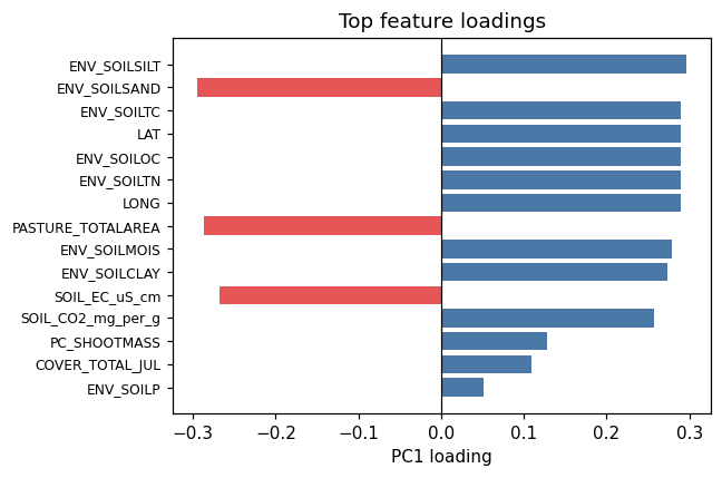 Top feature loadings