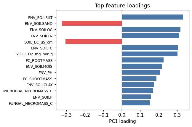 Top feature loadings